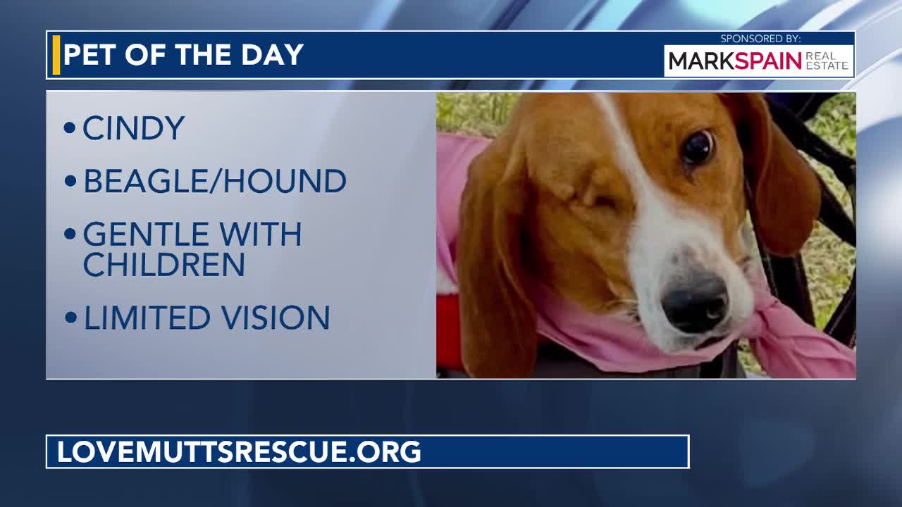 Pet of the Day: June 6, 2026