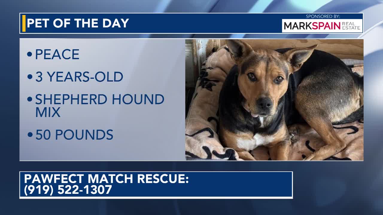 Pet of the Day for June 2, 2026