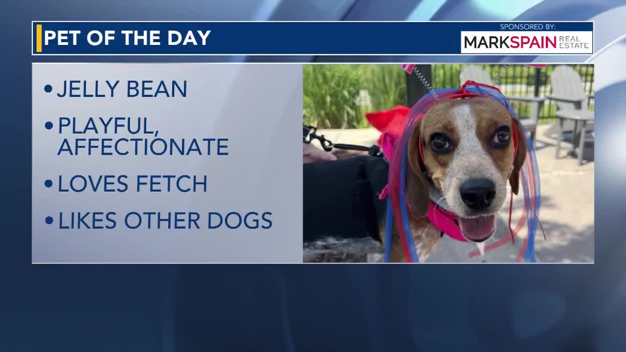 Pet of the Day, June 23, 2026
