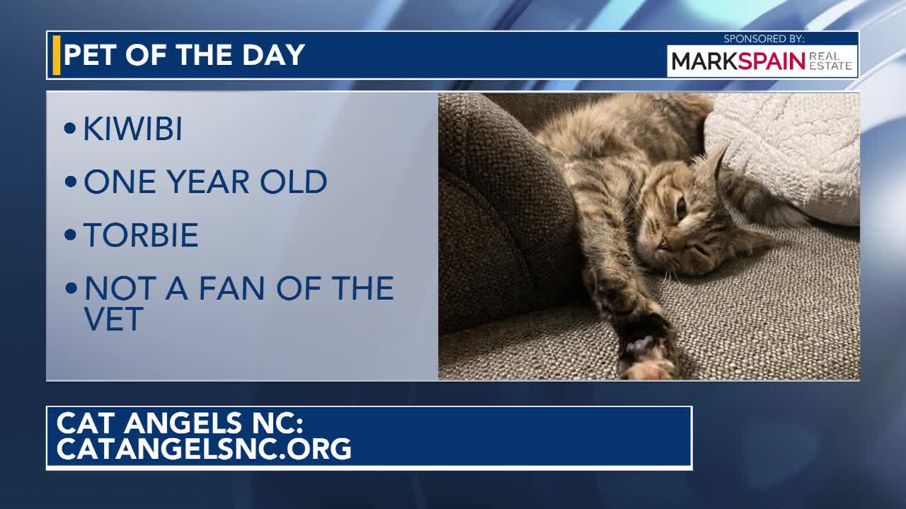 Pet of the Day for June 3, 2026