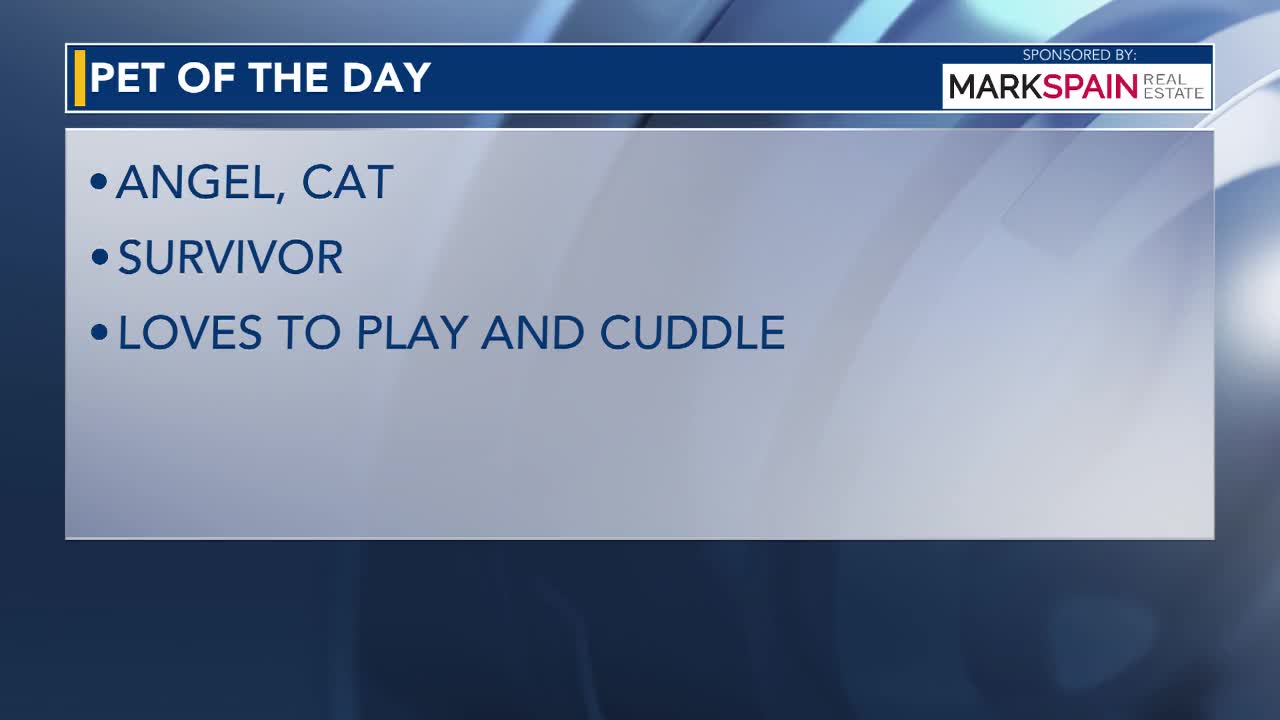 Pet of the Day for June 15, 2026