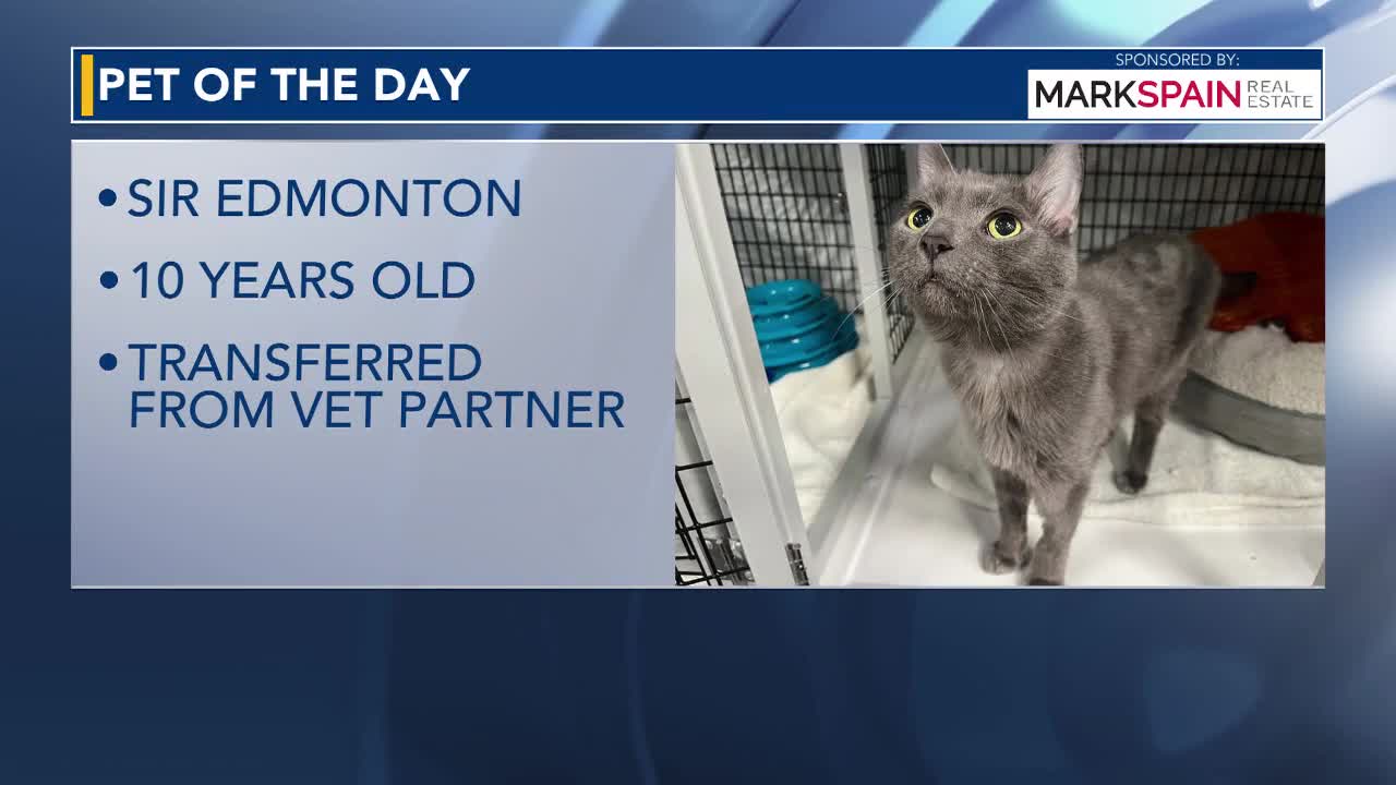Pet of the Day: June 22, 2026