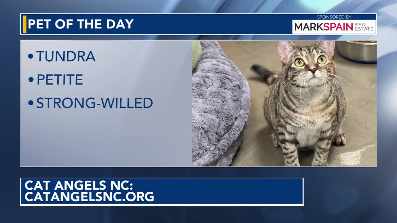 Pet of the Day for June 10, 2026