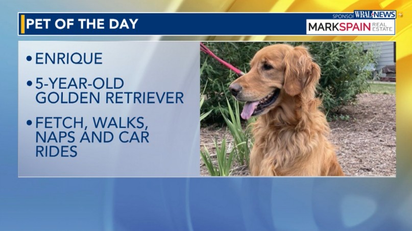 Pet of the Day for June 14, 2026